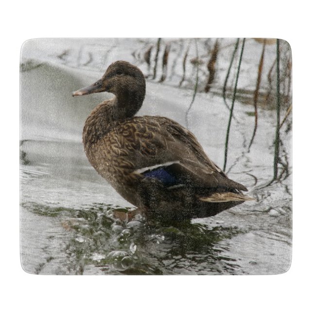 Planche À Découper Canard gris sur le lac sombre (Devant)