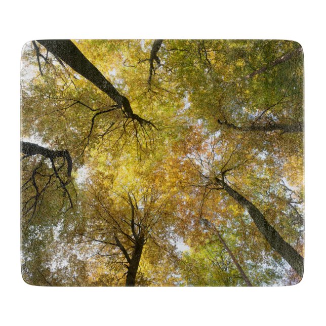 Planche À Découper Canopée verdoyante (Devant)