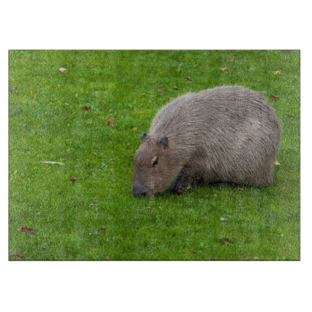 Planche À Découper Capybara Animal Incroyable (Devant)