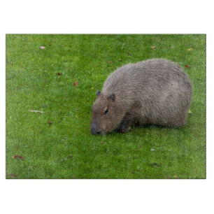 Planche À Découper Capybara Extraordinaire