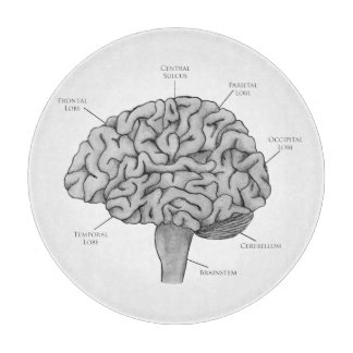 Planche À Découper Cerveau scientifique