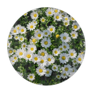 Planche À Découper Champ de marguerite du printemps : Arrière - plan