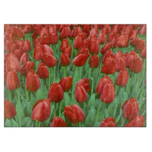 Planche À Découper Champ de tulipes en fleurs au printemps.