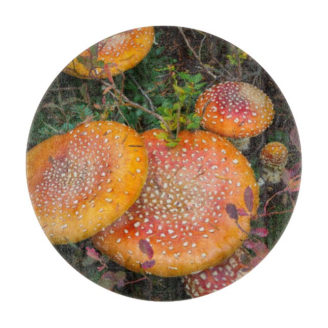 Planche À Découper Champignons amanite tue-mouche au lac Mowich (Devant)