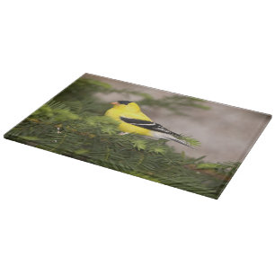 Planche À Découper Chardonneret américain mâle dans un arbre