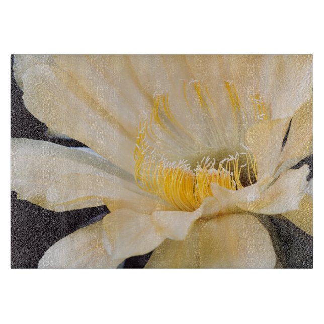 Planche À Découper Charlemagne Echinopsis en fleurs (Devant)