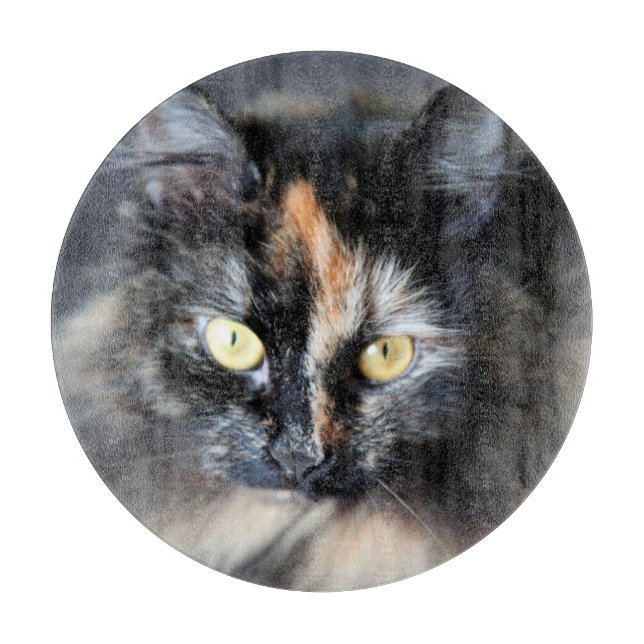 Planche À Découper Chat de Sibérie (Devant)