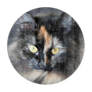 Planche À Découper Chat sibérien