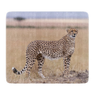 Planche À Découper Cheetah