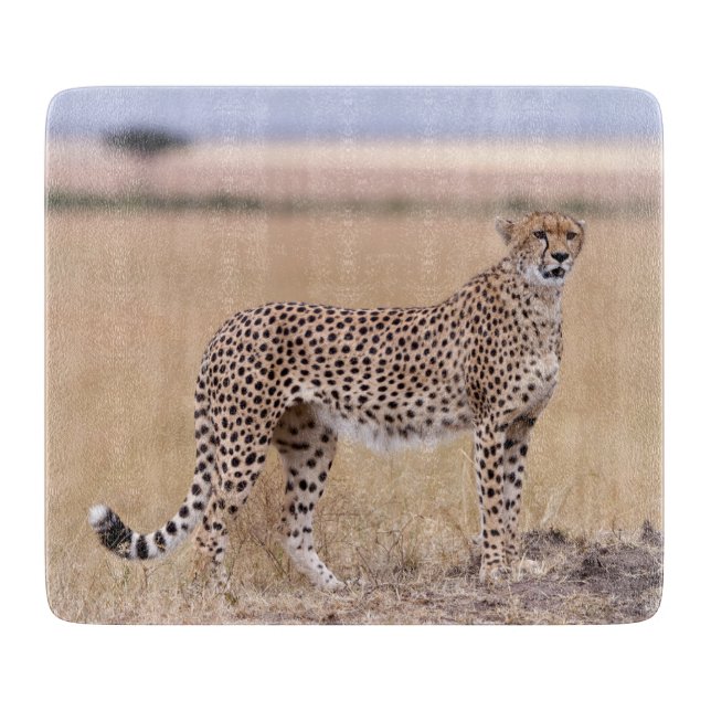 Planche À Découper Cheetah (Devant)