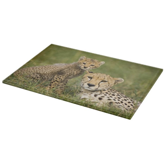 Planche À Découper Cheetah, Acinonyx jubatus, avec Cub (Coin)