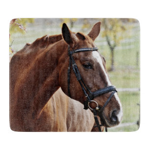 Planche À Découper Cheval de châtaignes avec lame, Bridle, en Pâturag