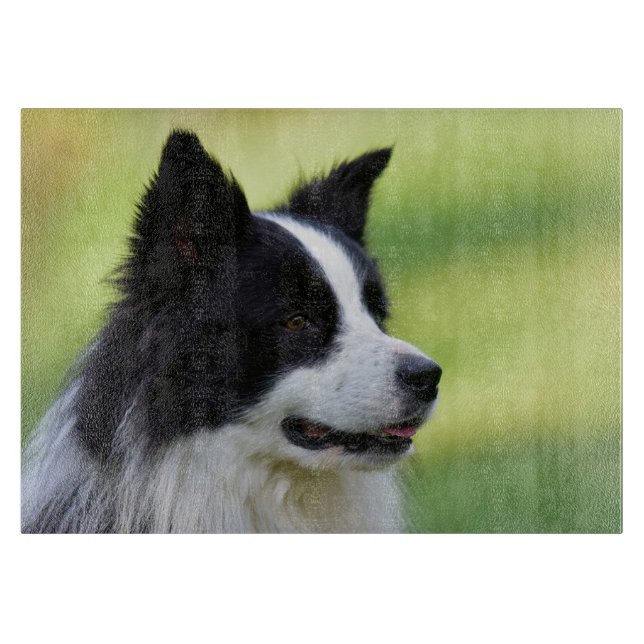 Planche À Découper Chien Border Collie noir et blanc (Devant)