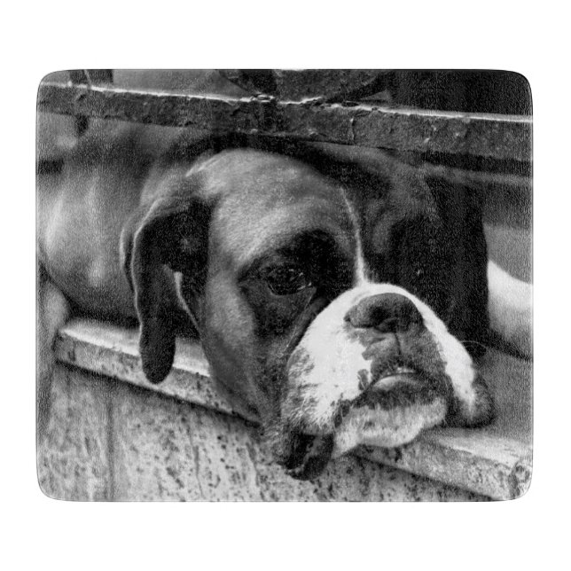 Planche À Découper Chien de boxe sur Windowsill cbcna (Devant)