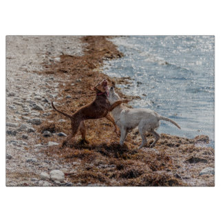 Planche À Découper Chiens sur la plage