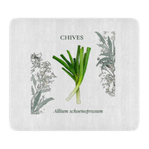 Planche À Découper Ciboulette — Allium schoenoprasum