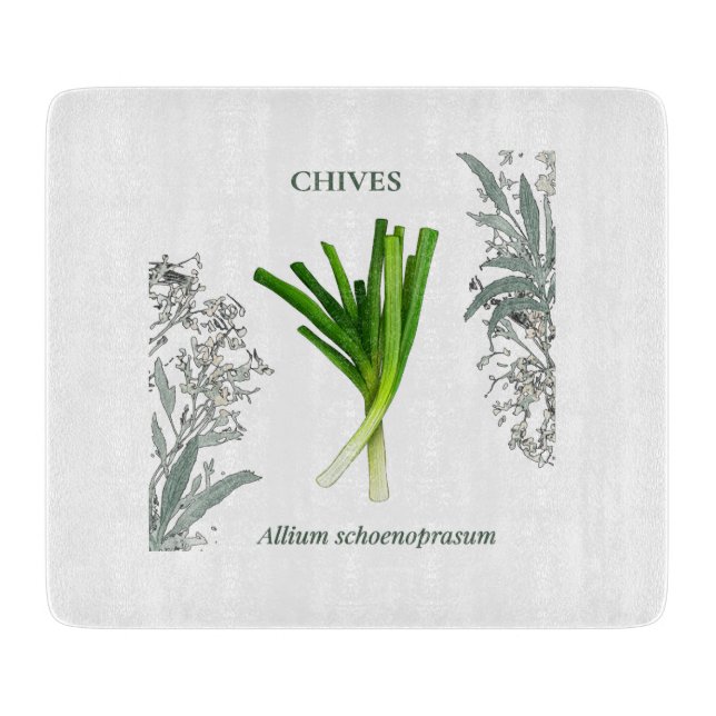 Planche À Découper Ciboulette — Allium schoenoprasum (Devant)