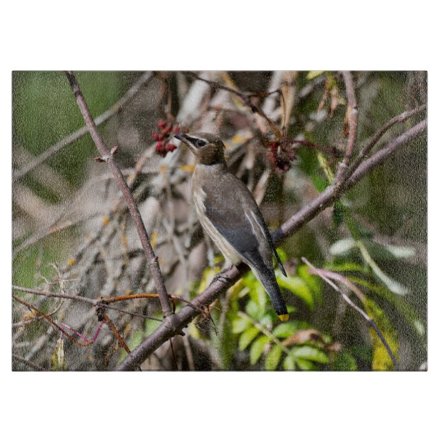 Planche À Découper Cire-vent de Bohême, photographie aérienne canadie (Devant)