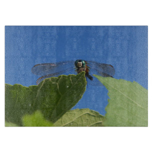 Planche À Découper Closeuse de libellule contre ciel bleu vif sur une