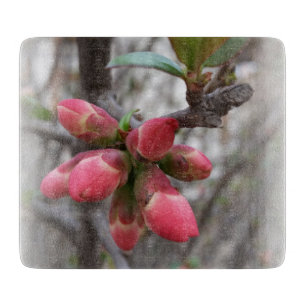 Planche À Découper coing sauvage en fleurs