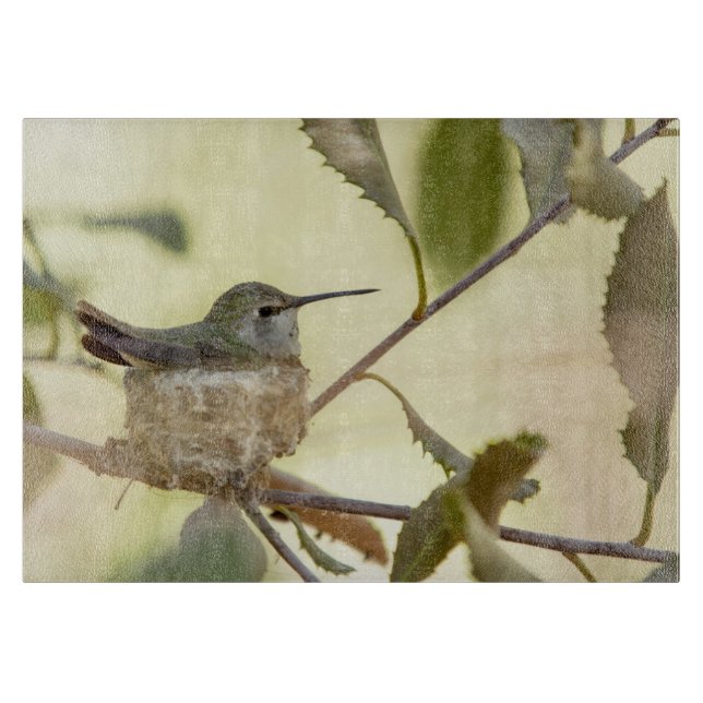 Planche À Découper Colibri femelle sur son nid (Devant)