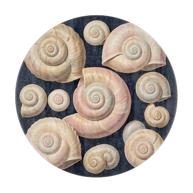 Planche À Découper Collection de coquilles marines spirales beige ros (Devant)