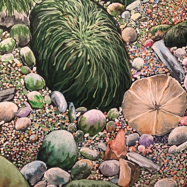 Planche À Découper Collection Oiseaux nouvelle (A Sand Dollar On the Beach in its Natural Setting. An Acrylic Painting.)