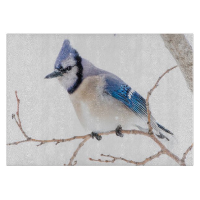 Planche À Découper Comté de Wichita, Texas. Blue Jay (Devant)