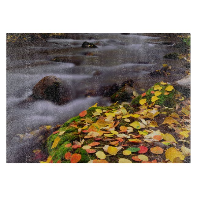 Planche À Découper Couleurs d'automne le long du ruisseau McGee (Devant)