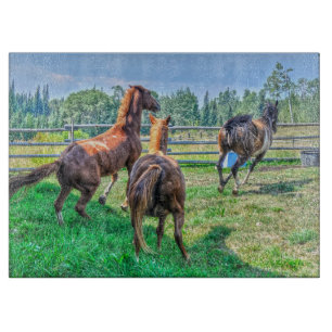 Planche À Découper Courir Pinto Peinture Gelding & Stallions châtaign