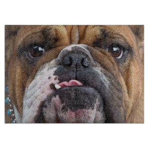 Planche À Découper Coussin de jet de Bouledogue Anglais