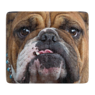 Planche À Découper Coussin de jet de Bouledogue Anglais