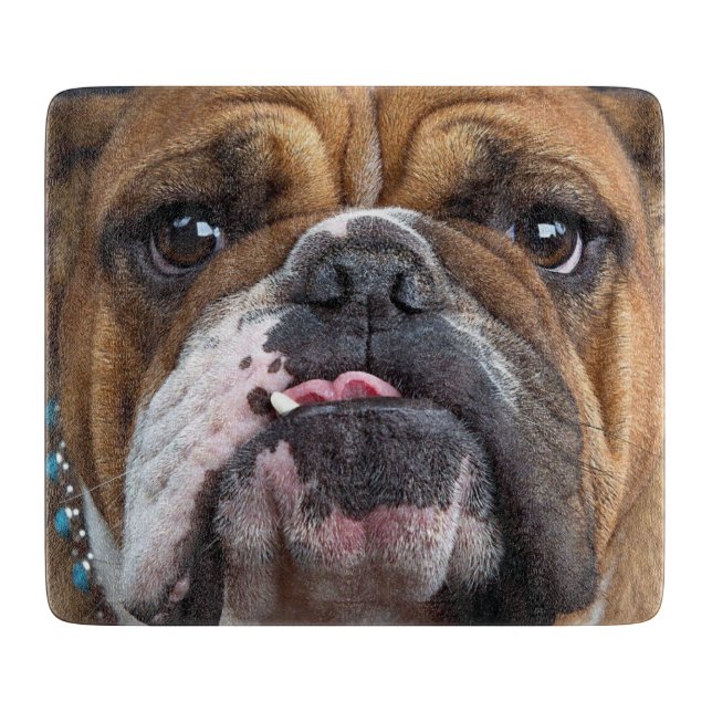 Planche À Découper Coussin de jet de Bouledogue Anglais (Devant)