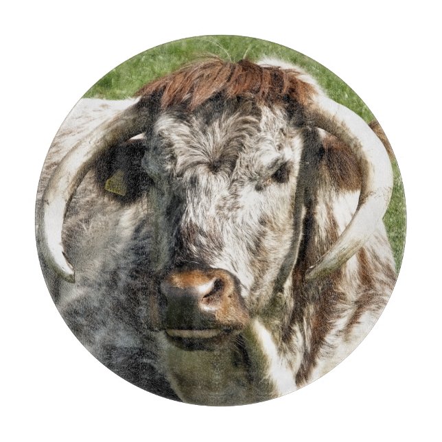 PLANCHE À DÉCOUPER COW (Devant)