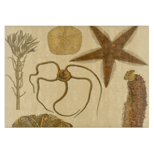 Planche À Découper Créatures sous-marines de mer