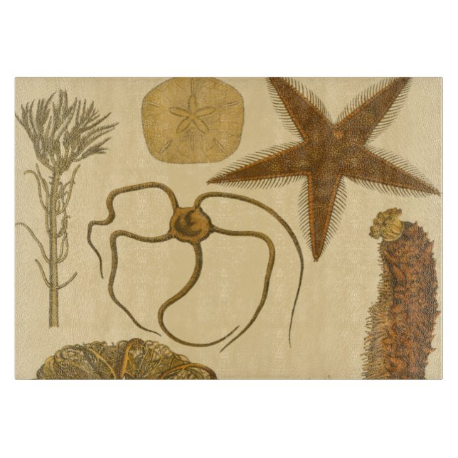 Planche À Découper Créatures sous-marines de mer (Devant)