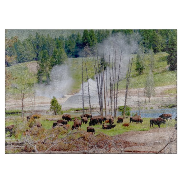 Planche À Découper Cuisine en verre - Bison de Yellowstone (Devant)