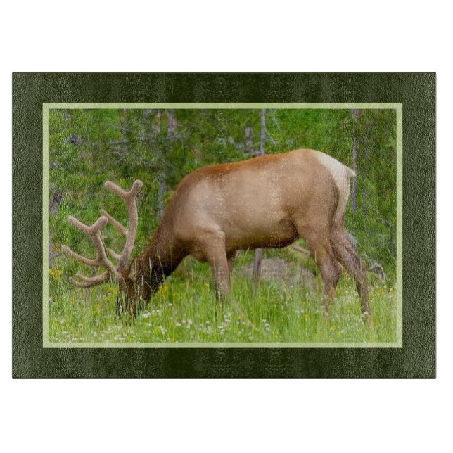 Planche À Découper Cuisine en verre - Elk de Yellowstone (Devant)