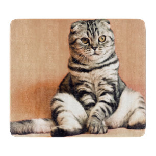 Planche À Découper Cute Kitten S'Est Étendu