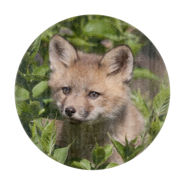 Planche À Découper Cutest Baby Animals | Fox Kit (Devant)