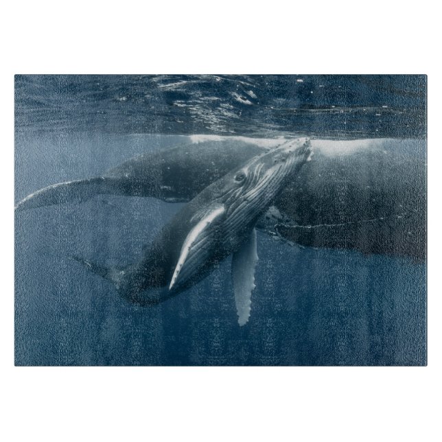Planche À Découper Cutest Baby Animals | Humpback Whale Calf (Devant)