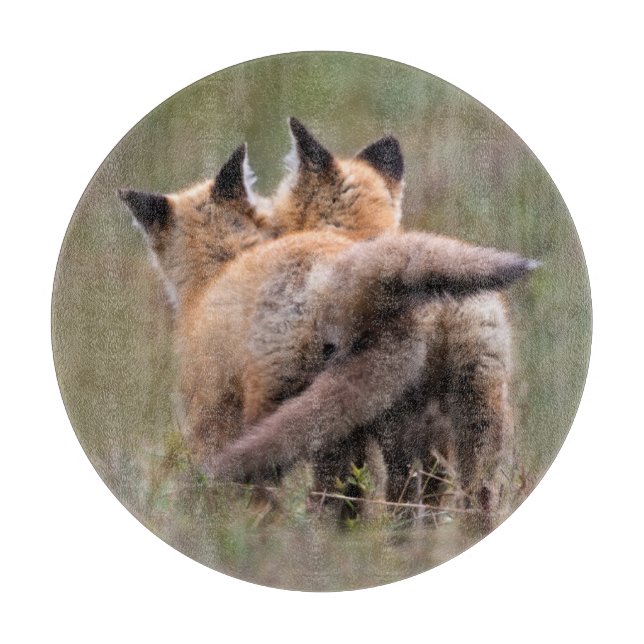 Planche À Découper Cutest Baby Animals | Red Fox Kits Locking Tails (Devant)