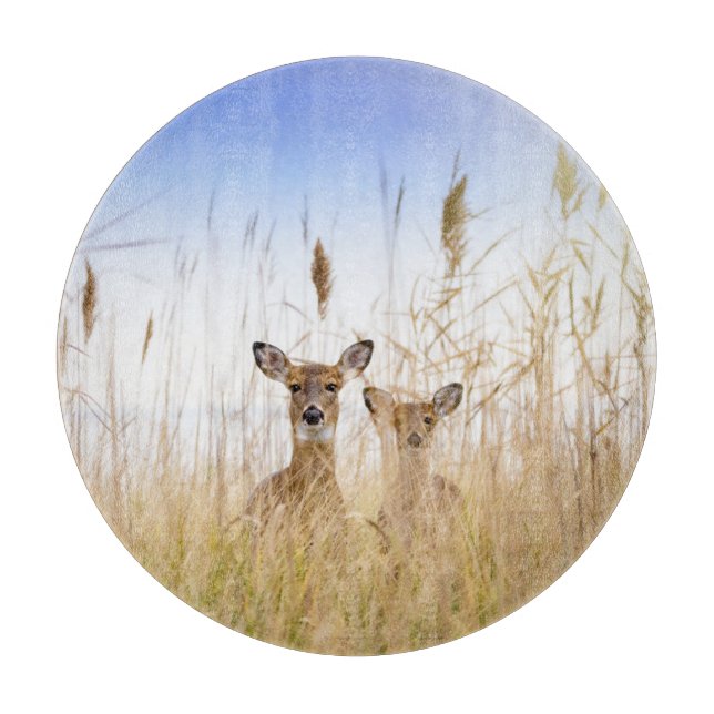 Planche À Découper Cutest Baby Animals | Two Young White Tailed Deer (Devant)