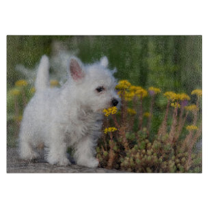 Planche À Découper Cutest Baby Animals   West Highland White Terrier