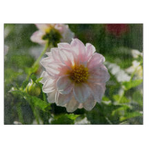 Dahlia blanche dans la photo du jardin