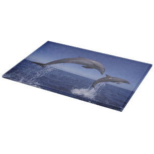 Planche À Découper dauphins à gros nez des Caraïbes