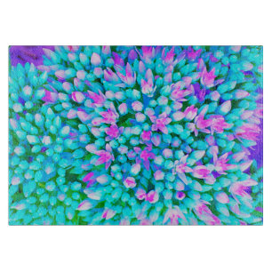 Planche À Découper Détail de fleurs de Sedum Succulentes Bleues et Ro