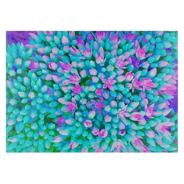 Planche À Découper Détail de fleurs de Sedum Succulentes Bleues et Ro (Devant)