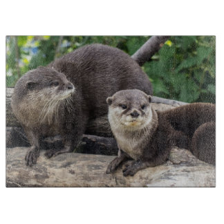 Planche À Découper Deux loutre mignonne des loutres |
