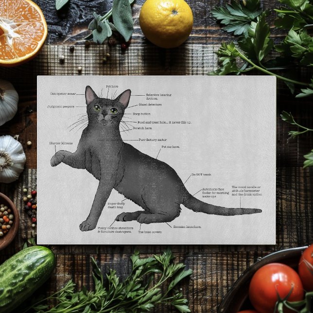 Planche À Découper Diagramme d'anatomie de chat drôle humour nerd (Créateur téléchargé)